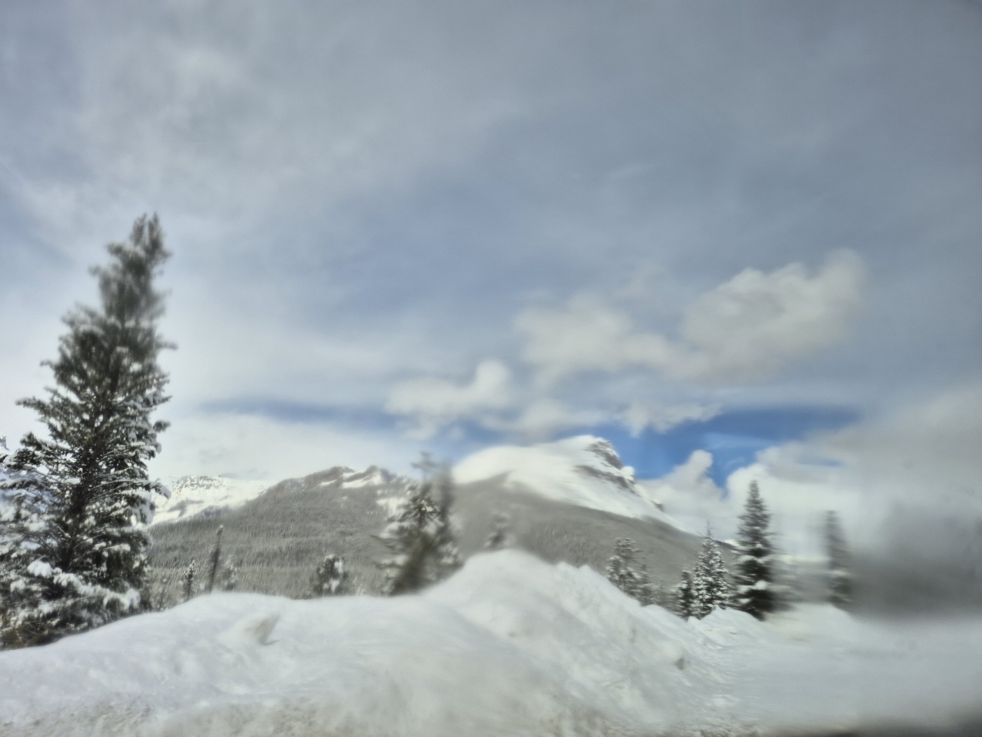 여행후기 이미지