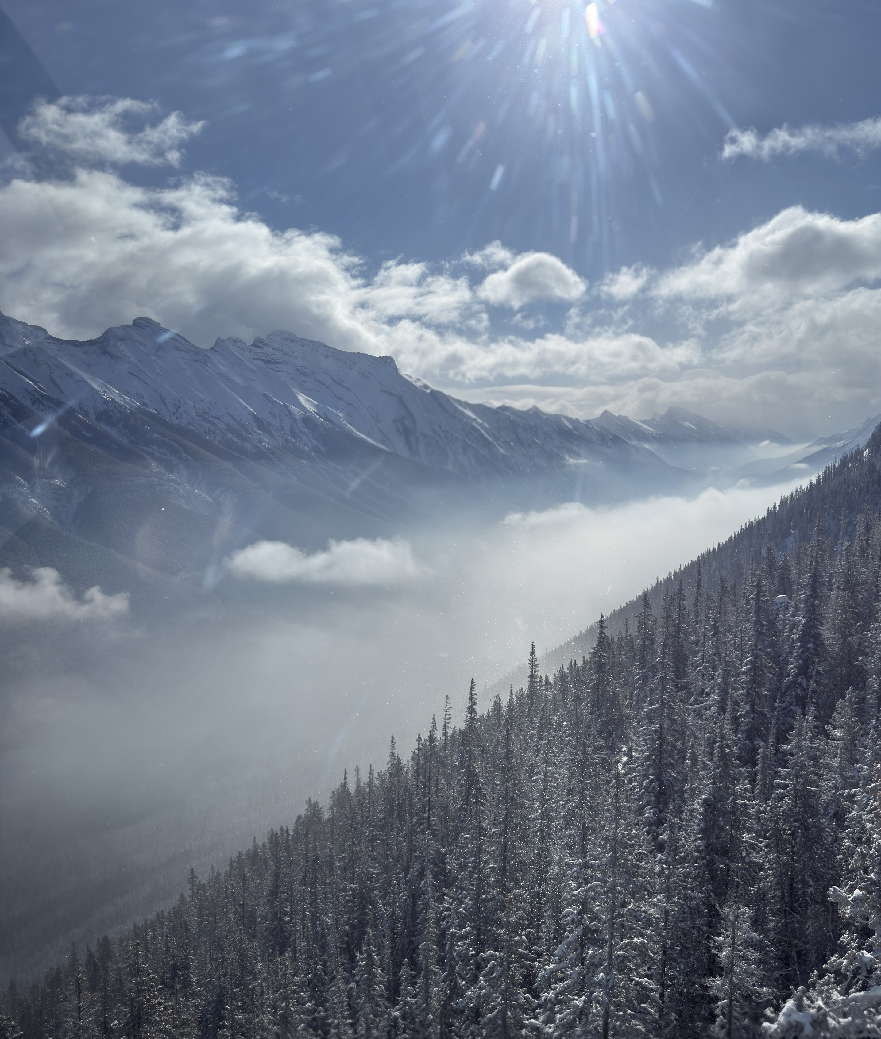 여행후기 이미지